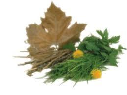 raccolta del verde